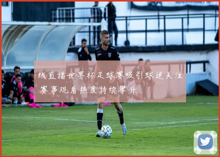 线直播世界杯足球赛吸引球迷关注 赛事观看热度持续攀升