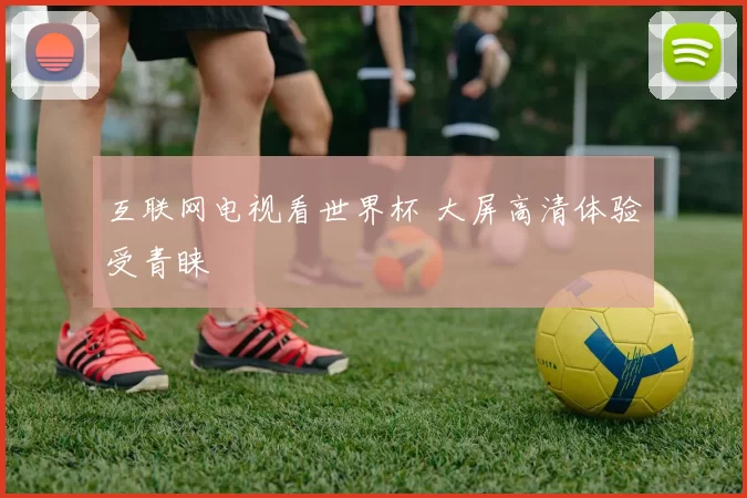 互联网电视看世界杯 大屏高清体验受青睐
