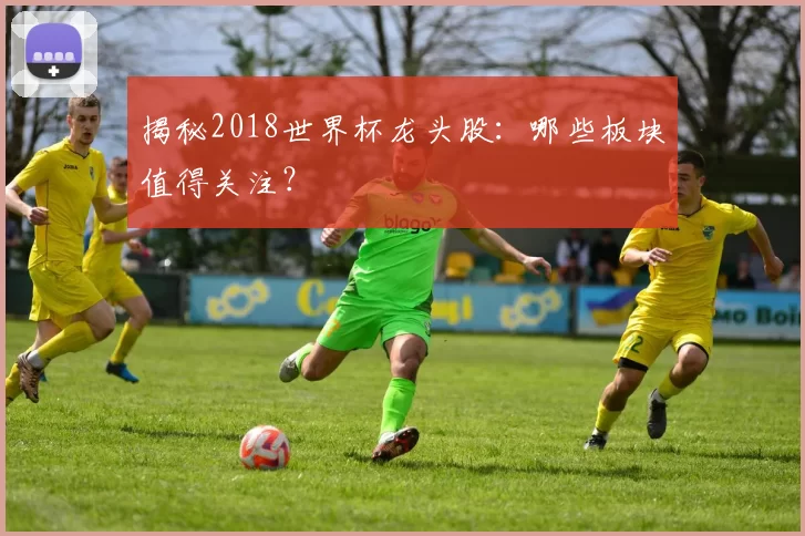 揭秘2018世界杯龙头股：哪些板块值得关注？