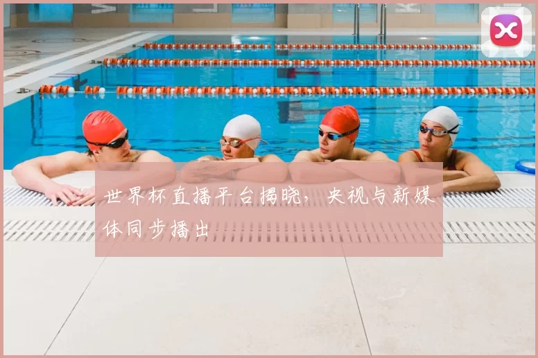 世界杯直播平台揭晓，央视与新媒体同步播出