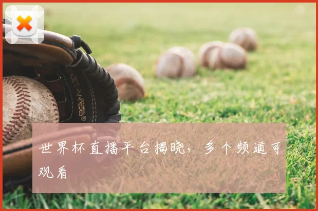 世界杯直播平台揭晓，多个频道可观看