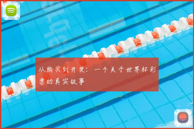 从购买到开奖：一个关于世界杯彩票的真实故事