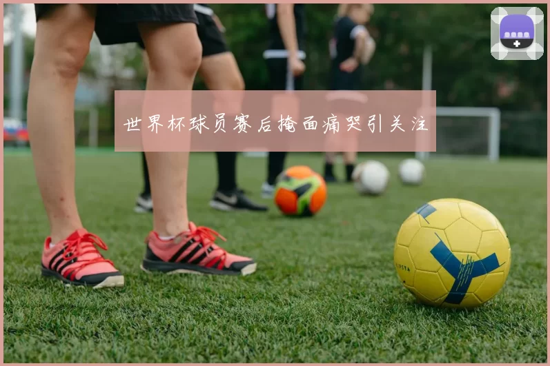 世界杯球员赛后掩面痛哭引关注
