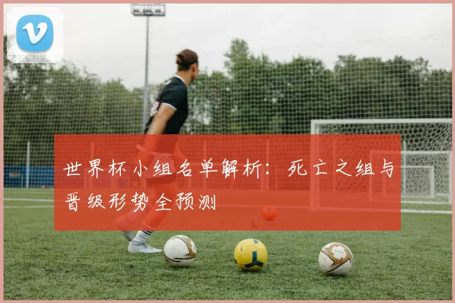 世界杯小组名单解析：死亡之组与晋级形势全预测