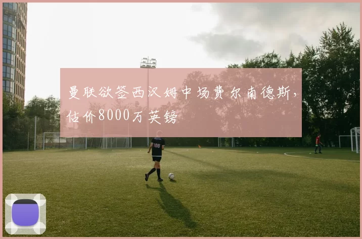 曼联欲签西汉姆中场费尔南德斯，估价8000万英镑