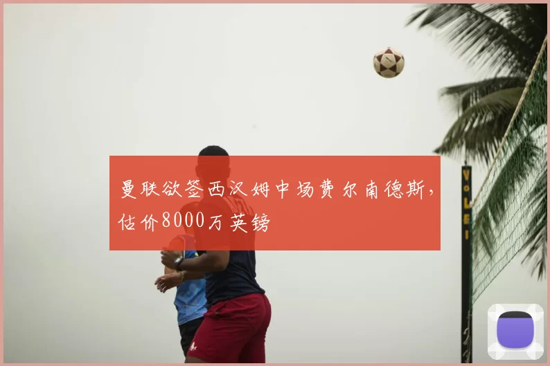 曼联欲签西汉姆中场费尔南德斯，估价8000万英镑