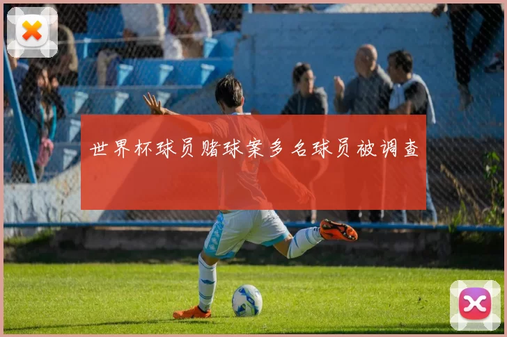 世界杯球员赌球案多名球员被调查