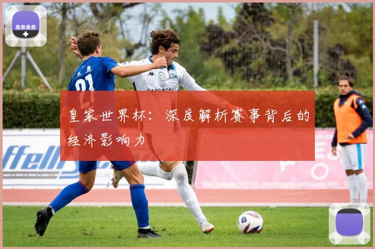 皇家世界杯：深度解析赛事背后的经济影响力