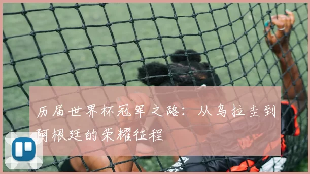 历届世界杯冠军之路：从乌拉圭到阿根廷的荣耀征程