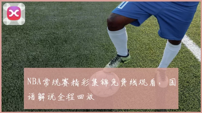 NBA常规赛精彩集锦免费线观看，国语解说全程回放