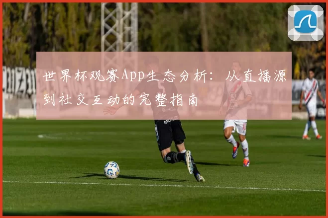 世界杯观赛App生态分析：从直播源到社交互动的完整指南