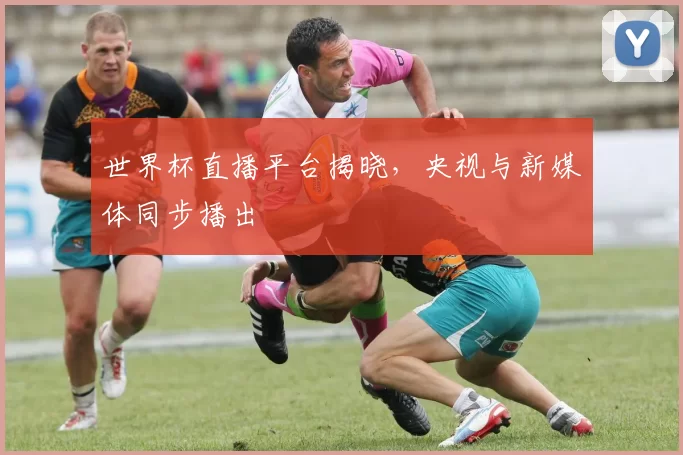 世界杯直播平台揭晓，央视与新媒体同步播出