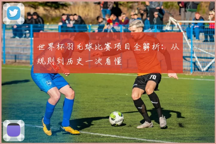 世界杯羽毛球比赛项目全解析:从规则到历史一次看懂
