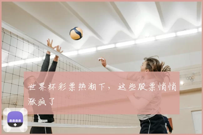 世界杯彩票热潮下,这些股票悄悄涨疯了
