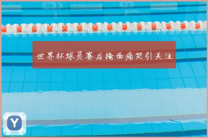 世界杯球员赛后掩面痛哭引关注